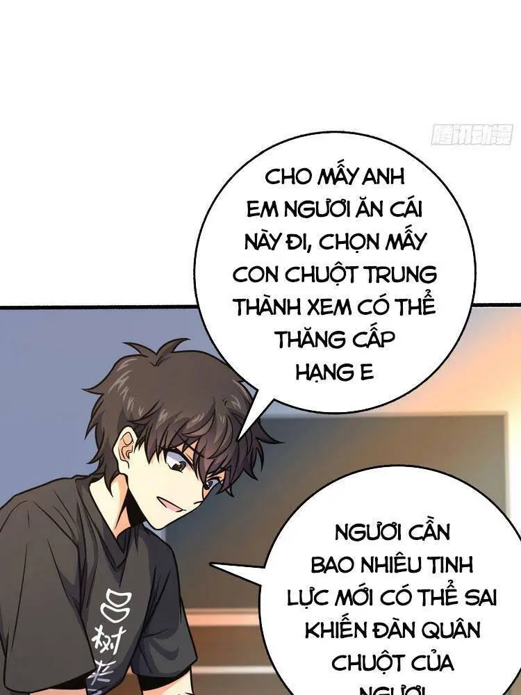 Đại Vương Tha Mạng Nettruyen ZZZ Chương 255 Page 14
