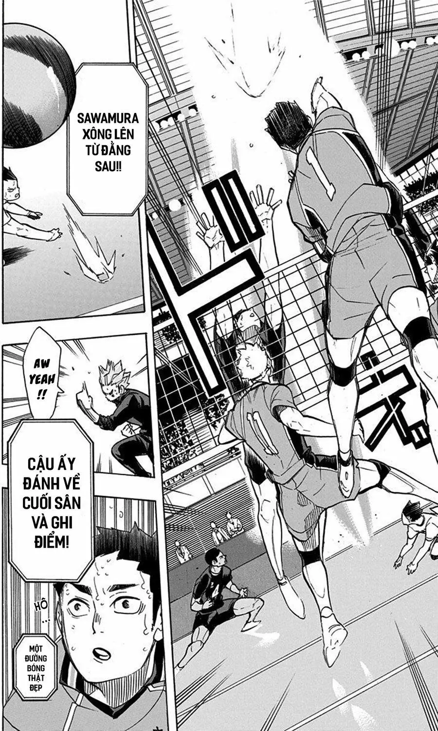 Haikyuu Nettruyen ZZZ Chương 261 Page 16
