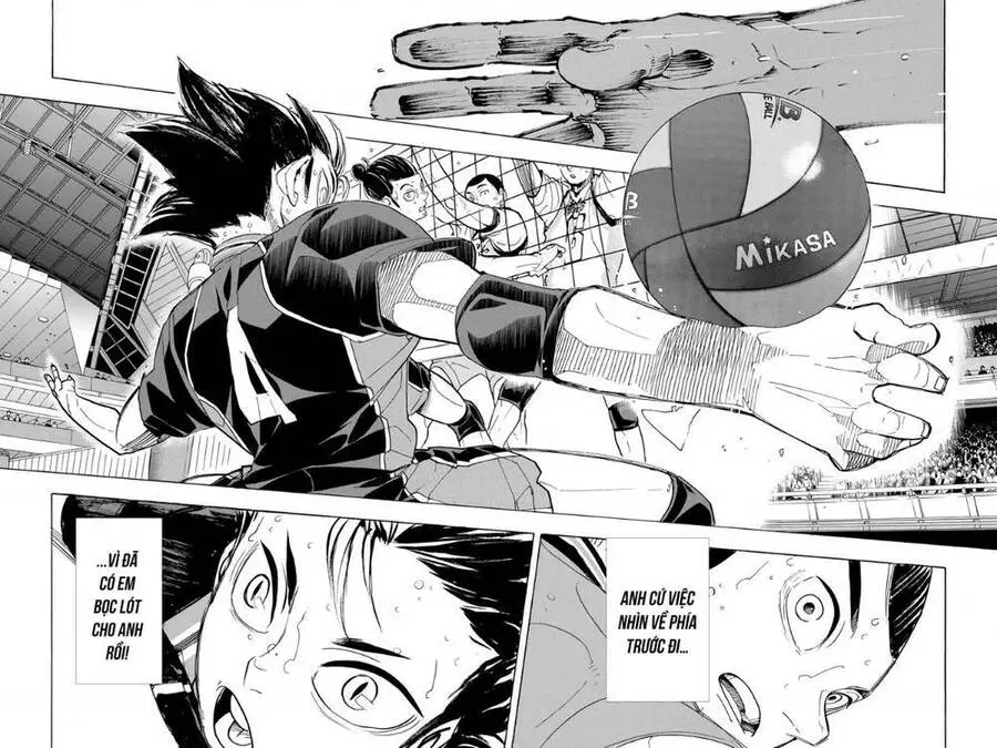 Haikyuu Nettruyen ZZZ Chương 352 Page 12