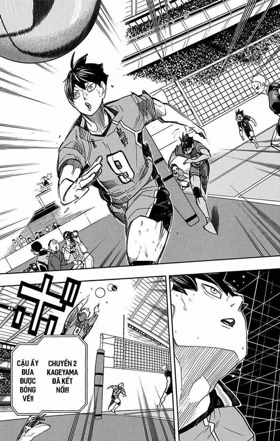 Haikyuu Nettruyen ZZZ Chương 260 Page 19