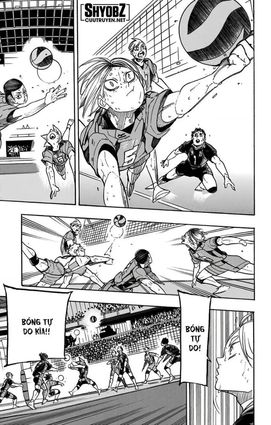 Haikyuu Nettruyen ZZZ Chương 324 Page 4