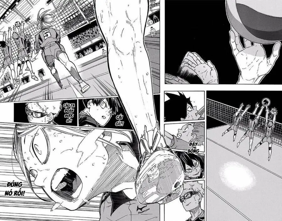 Haikyuu Nettruyen ZZZ Chương 322 Page 20