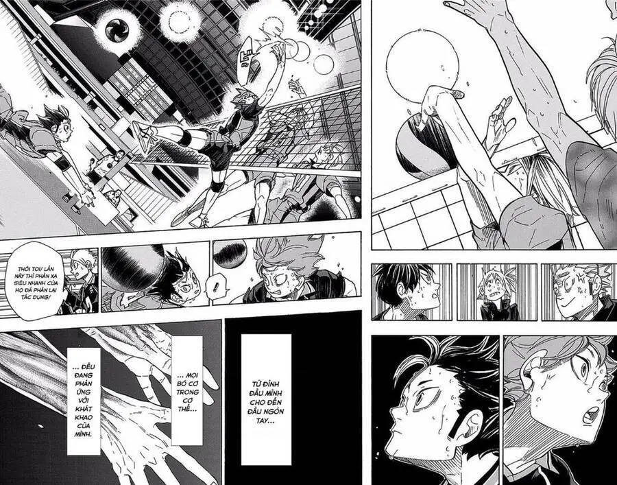 Haikyuu Nettruyen ZZZ Chương 321 Page 3