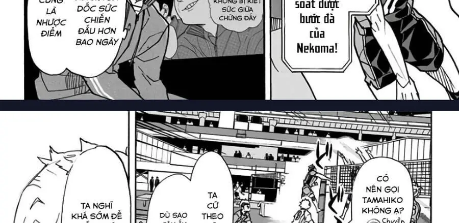Haikyuu Nettruyen ZZZ Chương 312 Page 25