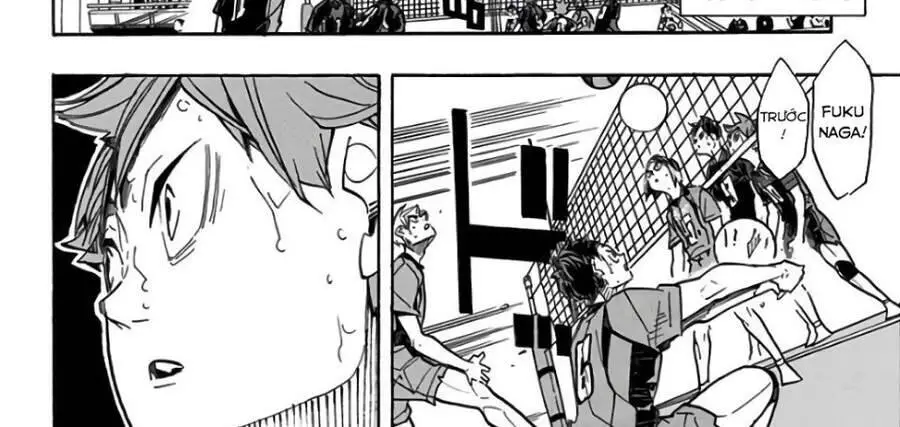 Haikyuu Nettruyen ZZZ Chương 309 Page 50