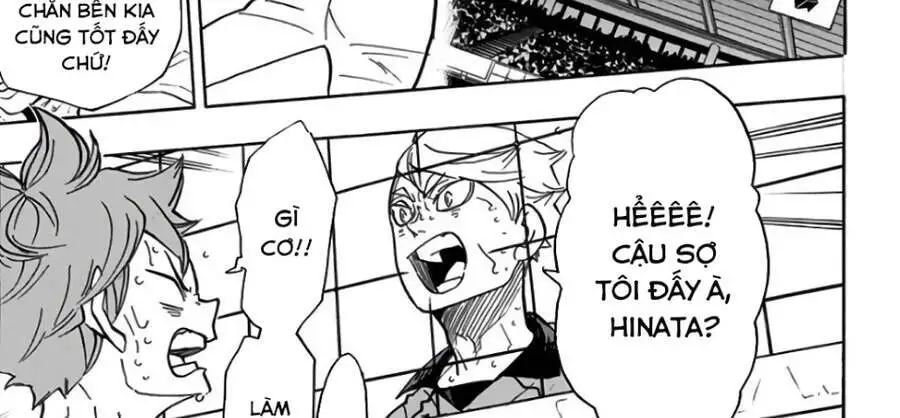 Haikyuu Nettruyen ZZZ Chương 310 Page 4