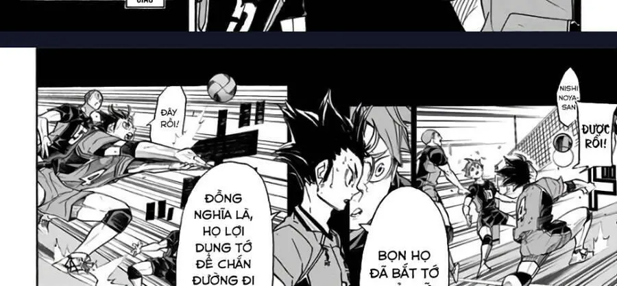 Haikyuu Nettruyen ZZZ Chương 310 Page 42