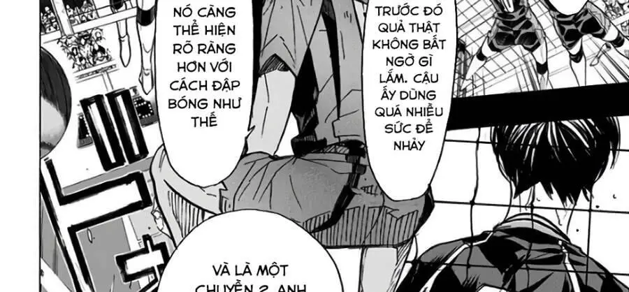 Haikyuu Nettruyen ZZZ Chương 310 Page 50