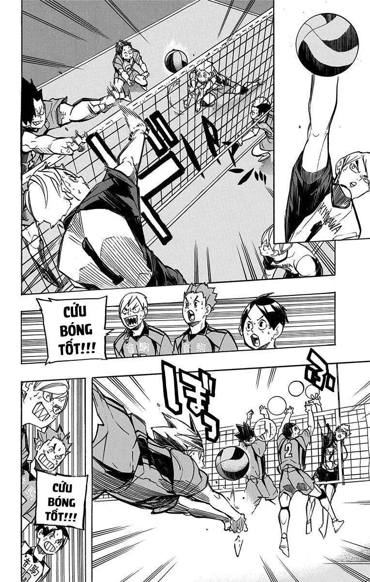 Haikyuu Nettruyen ZZZ Chương 243 Page 12