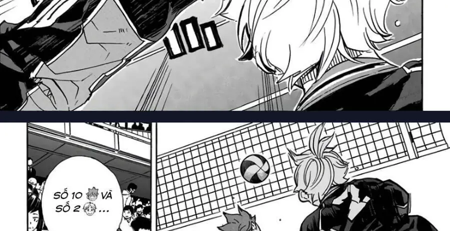 Haikyuu Nettruyen ZZZ Chương 313 Page 30