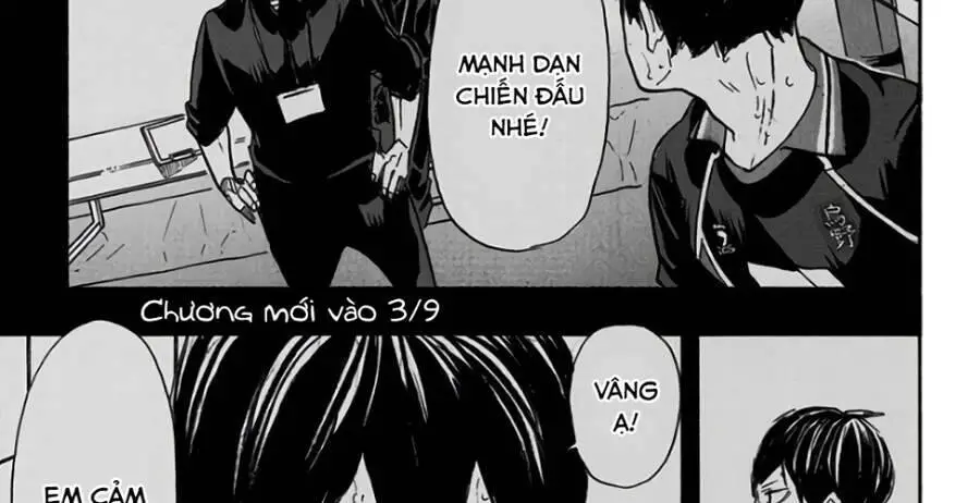 Haikyuu Nettruyen ZZZ Chương 313 Page 55