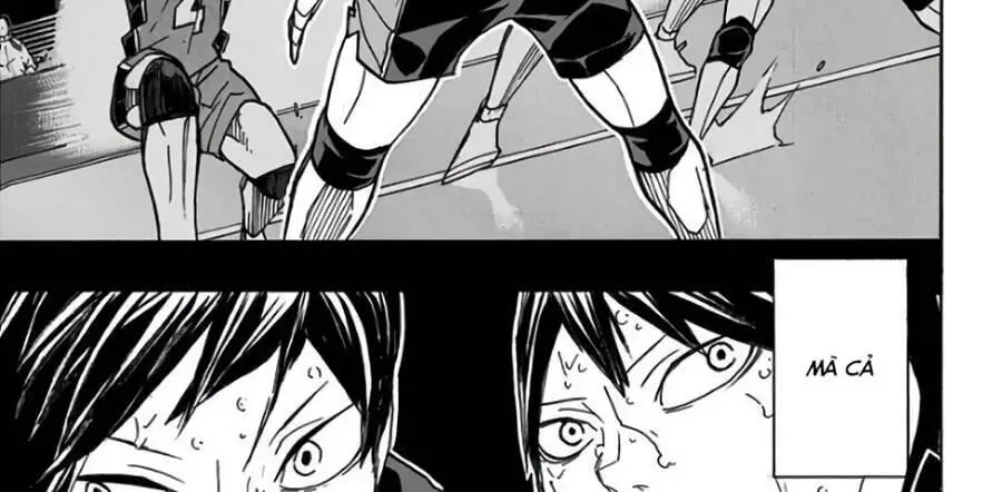 Haikyuu Nettruyen ZZZ Chương 314 Page 4