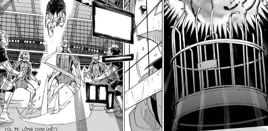 Haikyuu Nettruyen ZZZ Chương 314 Page 39
