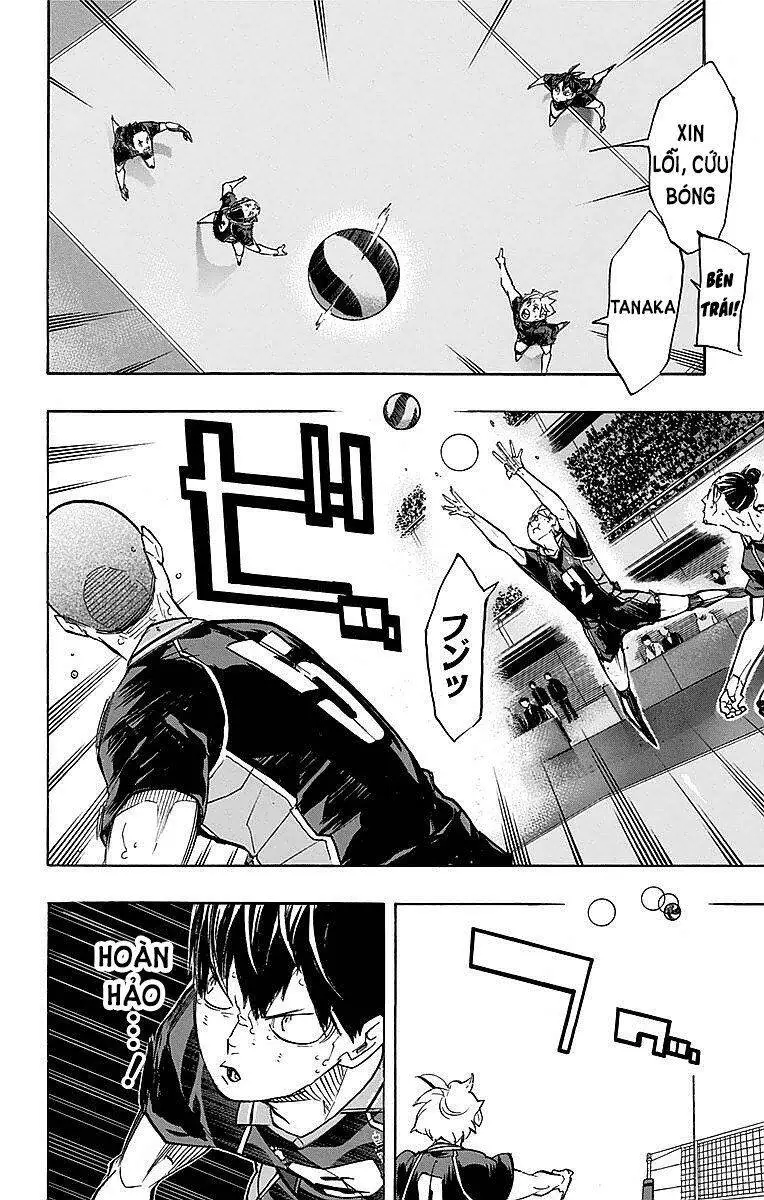 Haikyuu Nettruyen ZZZ Chương 242 Page 6