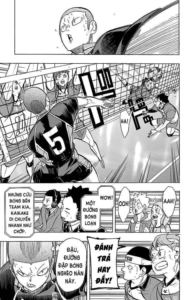 Haikyuu Nettruyen ZZZ Chương 242 Page 7