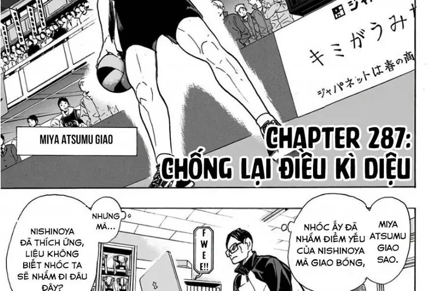 Haikyuu Nettruyen ZZZ Chương 287 Page 3