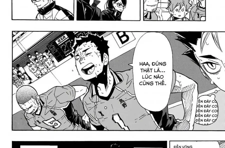 Haikyuu Nettruyen ZZZ Chương 287 Page 11