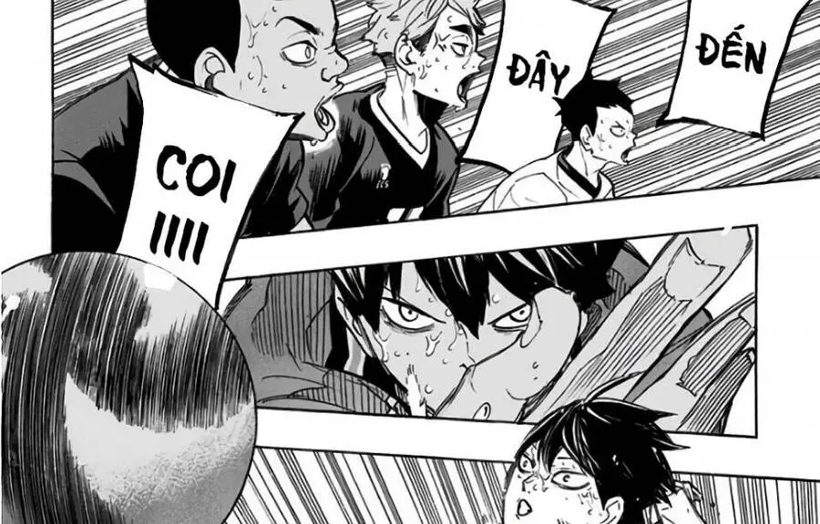 Haikyuu Nettruyen ZZZ Chương 286 Page 7