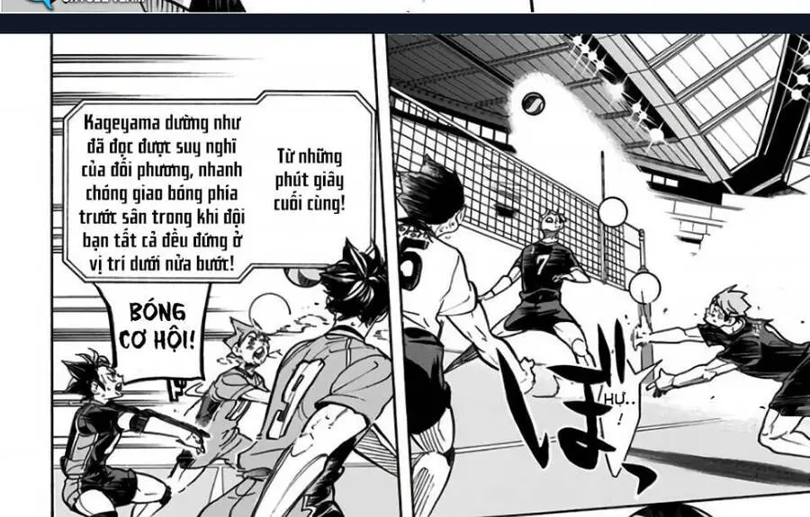 Haikyuu Nettruyen ZZZ Chương 286 Page 11