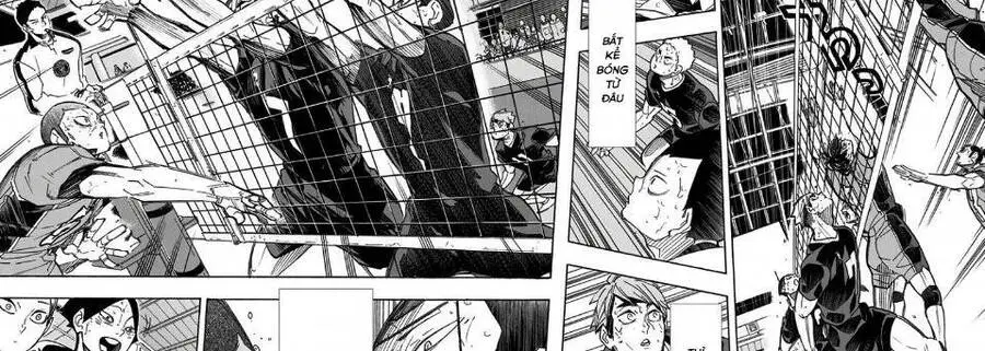 Haikyuu Nettruyen ZZZ Chương 290 Page 15