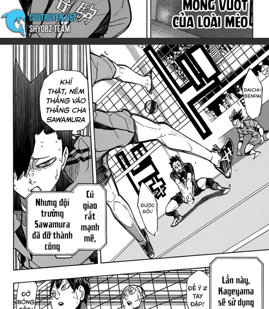 Haikyuu Nettruyen ZZZ Chương 302 Page 3