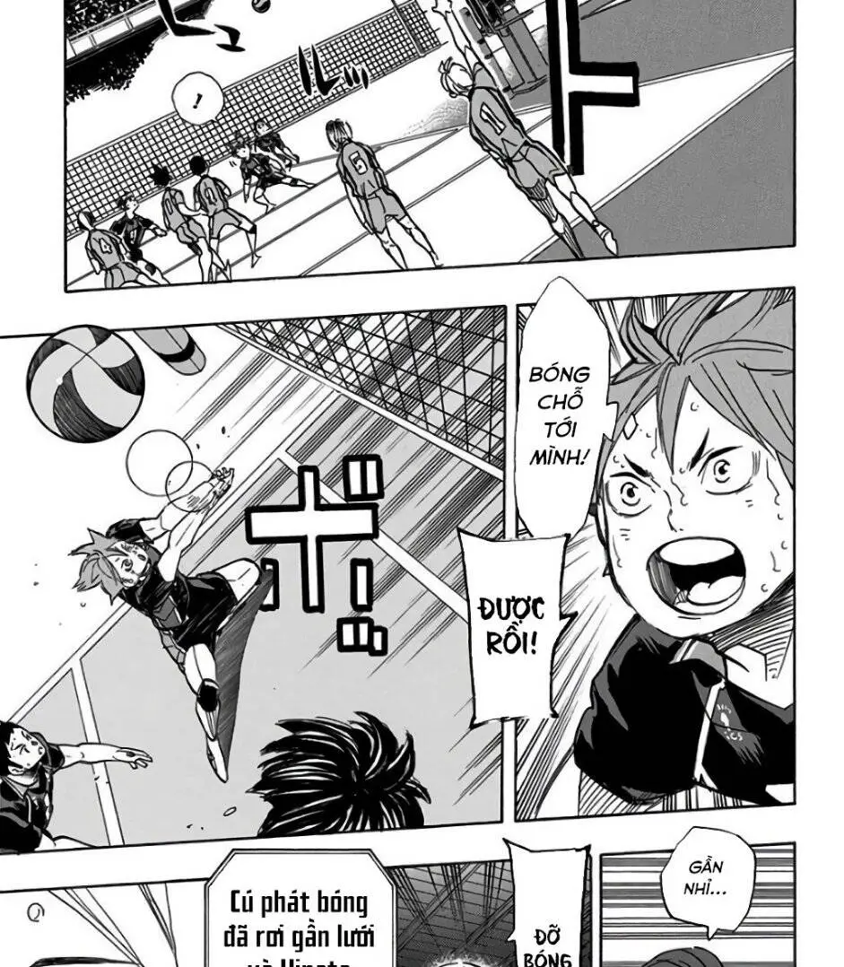 Haikyuu Nettruyen ZZZ Chương 302 Page 13