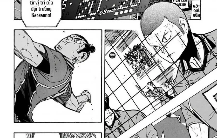 Haikyuu Nettruyen ZZZ Chương 284 Page 6