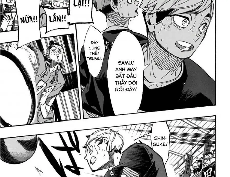 Haikyuu Nettruyen ZZZ Chương 283 Page 25