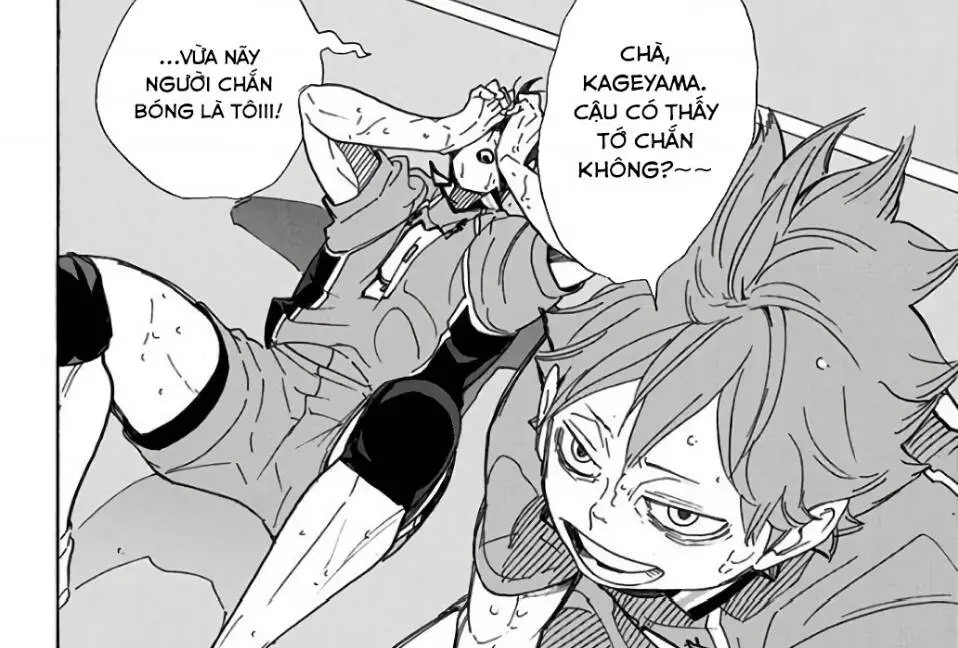 Haikyuu Nettruyen ZZZ Chương 291 Page 6