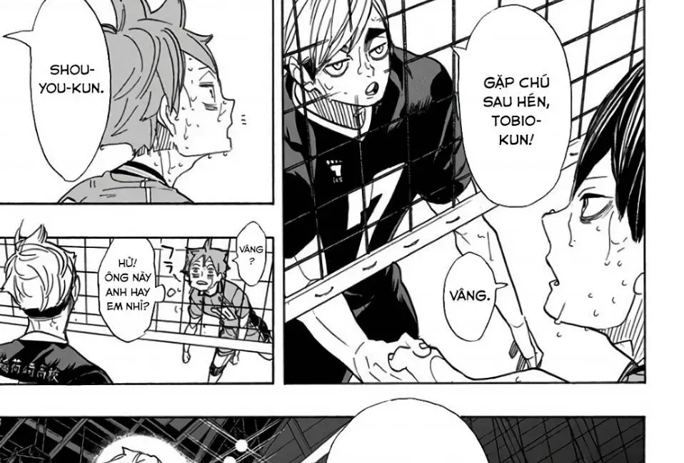 Haikyuu Nettruyen ZZZ Chương 291 Page 13