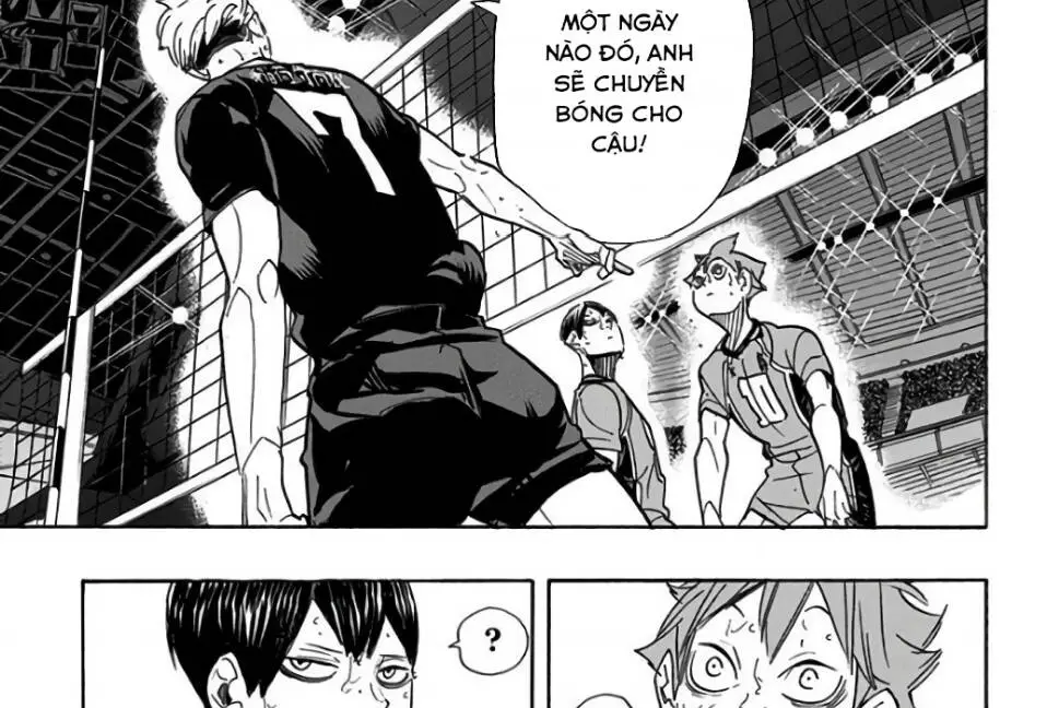Haikyuu Nettruyen ZZZ Chương 291 Page 14