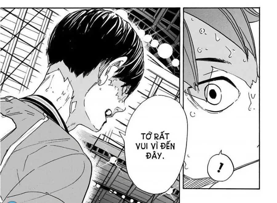Haikyuu Nettruyen ZZZ Chương 279 Page 39