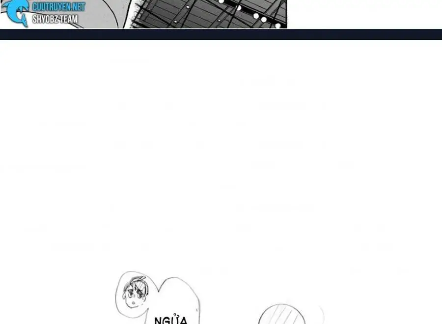 Haikyuu Nettruyen ZZZ Chương 279 Page 40