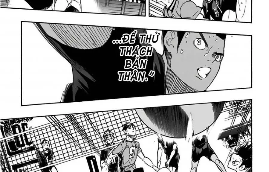 Haikyuu Nettruyen ZZZ Chương 280 Page 8