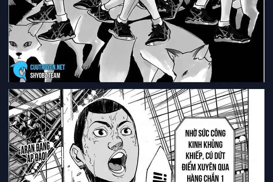 Haikyuu Nettruyen ZZZ Chương 272 Page 4