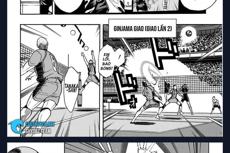Haikyuu Nettruyen ZZZ Chương 272 Page 8