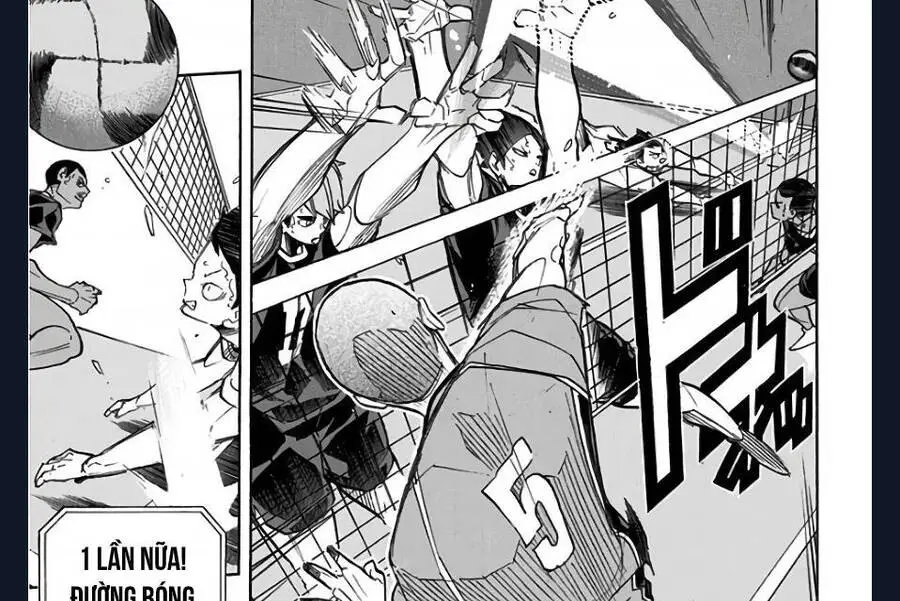 Haikyuu Nettruyen ZZZ Chương 272 Page 9