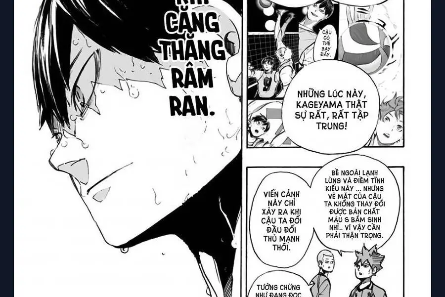 Haikyuu Nettruyen ZZZ Chương 272 Page 41