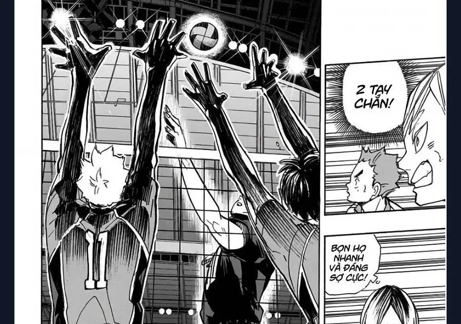 Haikyuu Nettruyen ZZZ Chương 271 Page 17
