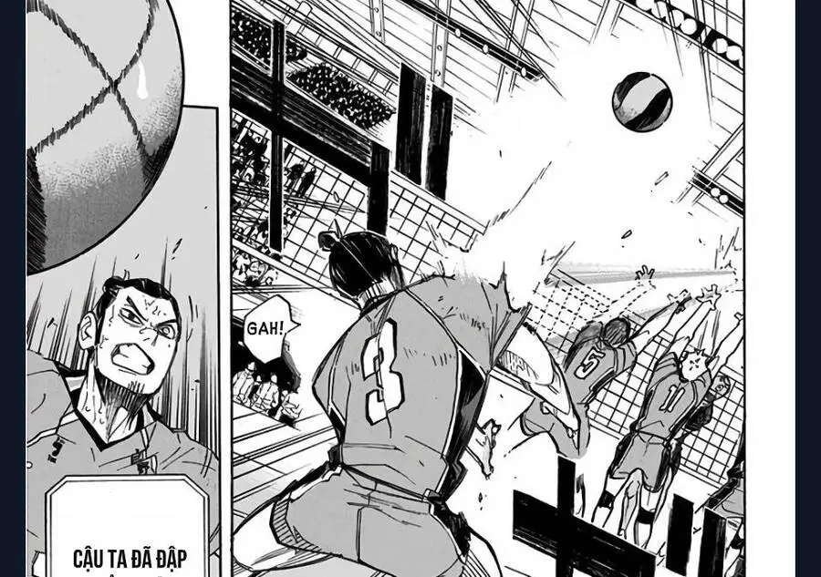 Haikyuu Nettruyen ZZZ Chương 271 Page 36