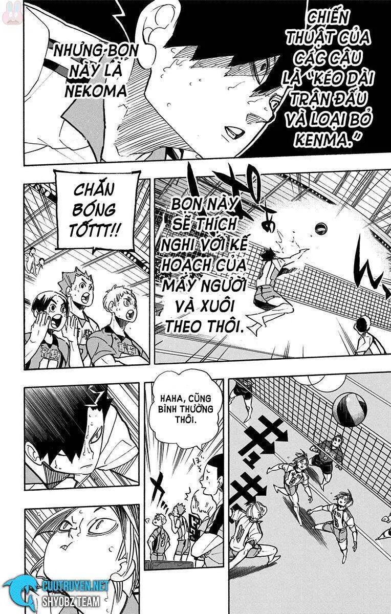 Haikyuu Nettruyen ZZZ Chương 267 Page 4