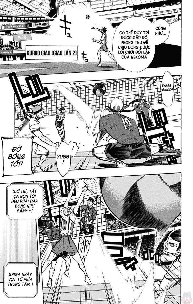 Haikyuu Nettruyen ZZZ Chương 267 Page 7