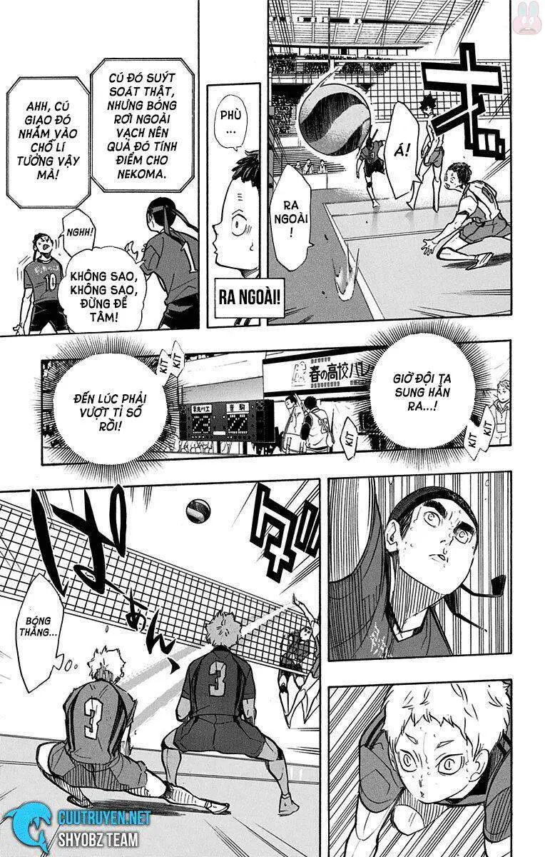 Haikyuu Nettruyen ZZZ Chương 267 Page 13