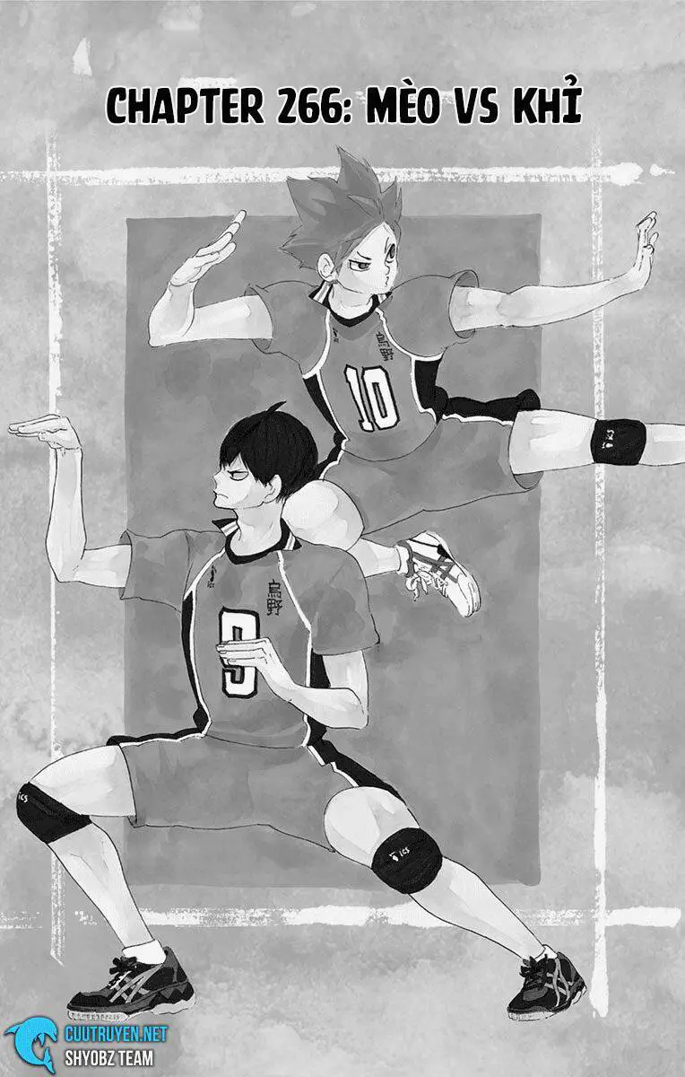 Haikyuu Nettruyen ZZZ Chương 266 Page 2