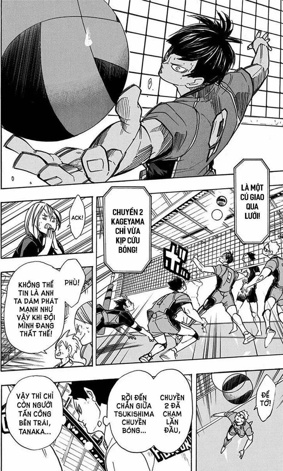 Haikyuu Nettruyen ZZZ Chương 263 Page 6