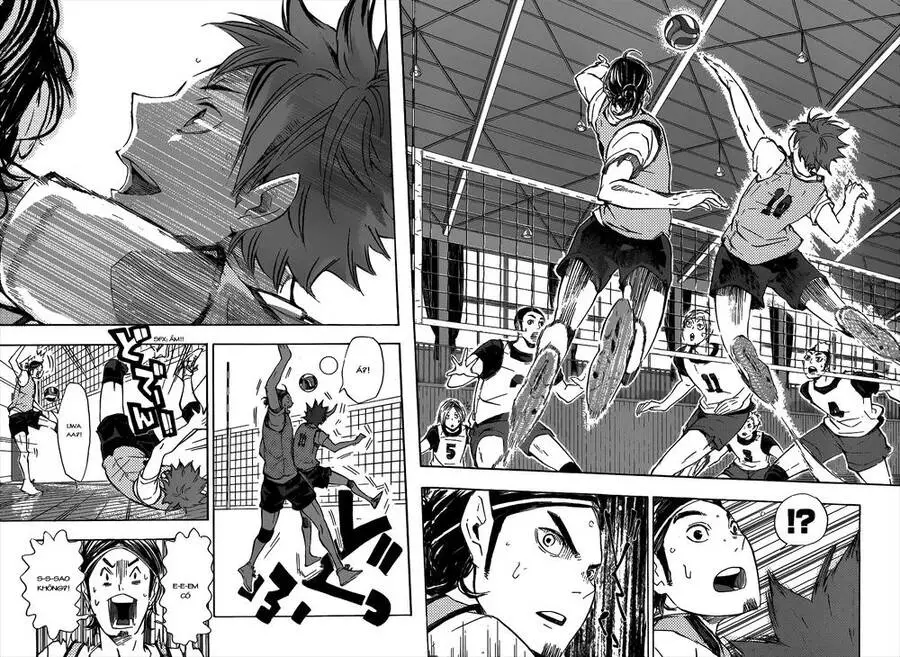 Haikyuu Nettruyen ZZZ Chương 80 Page 17
