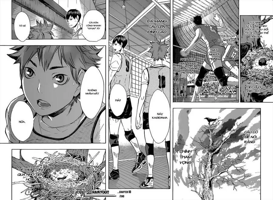 Haikyuu Nettruyen ZZZ Chương 80 Page 20