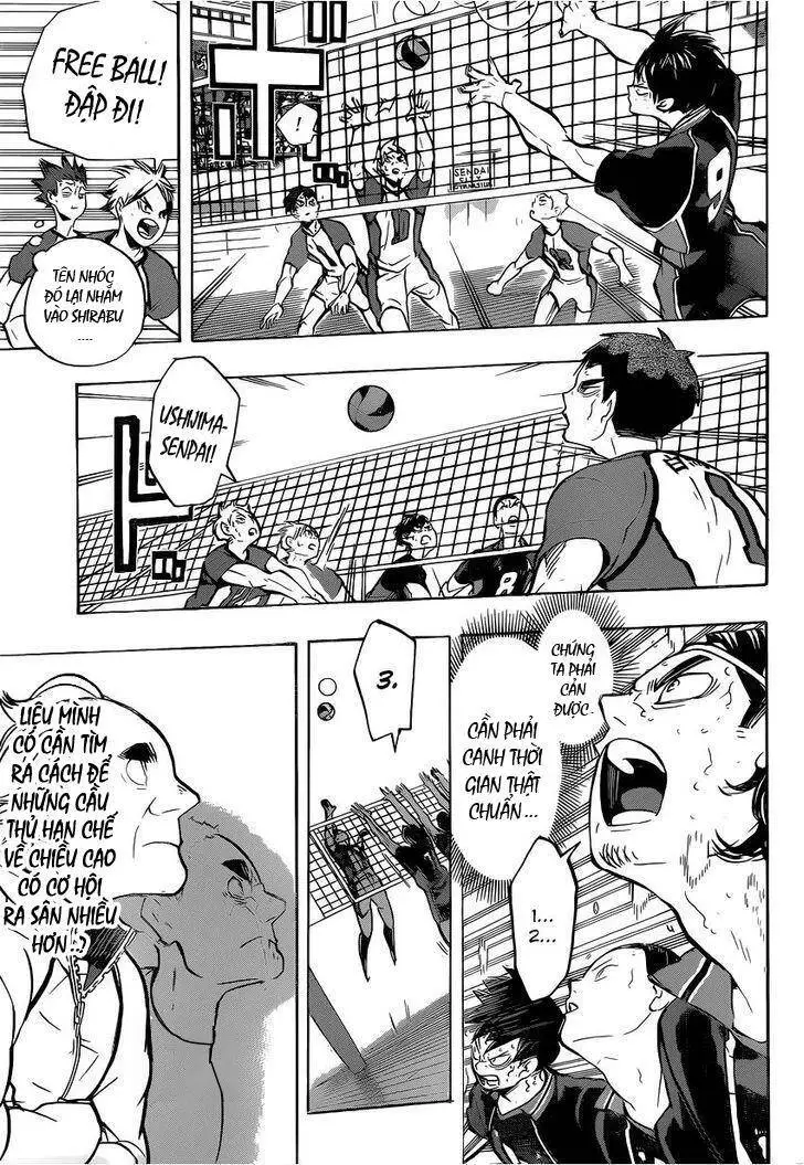 Haikyuu Nettruyen ZZZ Chương 183 Page 11