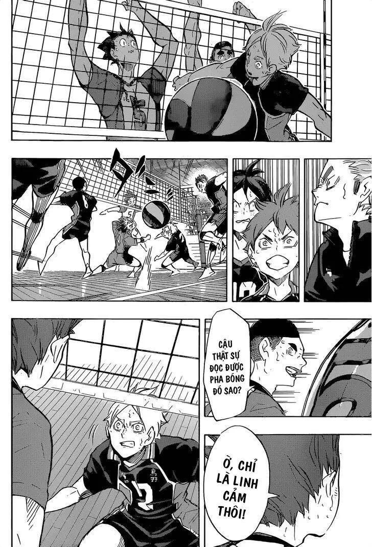 Haikyuu Nettruyen ZZZ Chương 178 Page 17