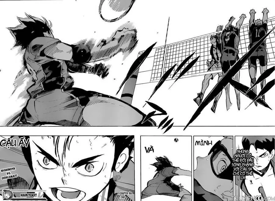 Haikyuu Nettruyen ZZZ Chương 166 Page 17